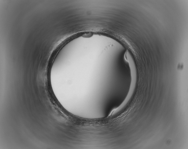 X0000096430532200802211149