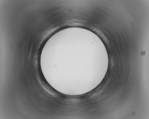 X0000096430533200802211149
