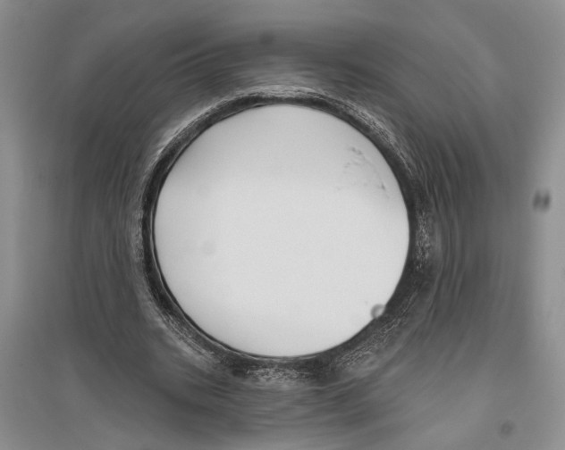 X0000096430535200802211149