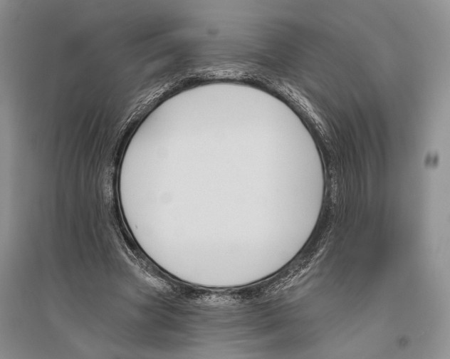 X0000096430537200802211149