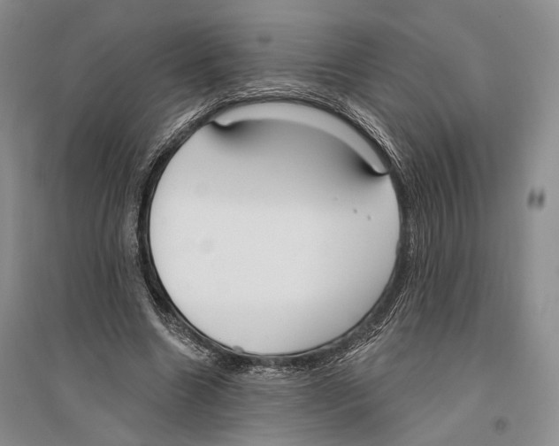 X0000096430538200802211149