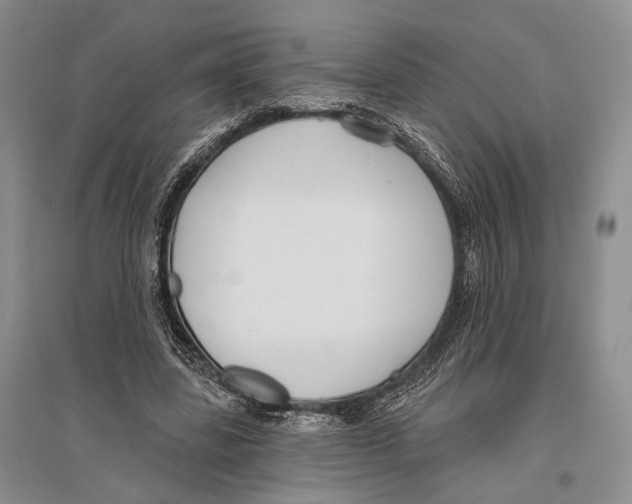 X0000096430539200802211149