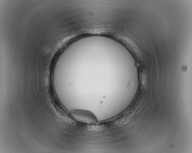 X0000096430540200802211149