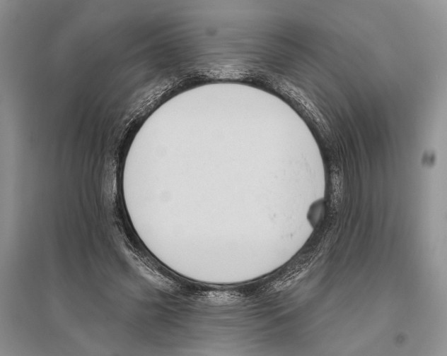 X0000096430541200802211149