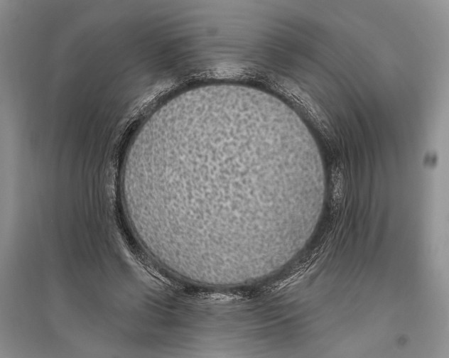 X0000096430542200802211149