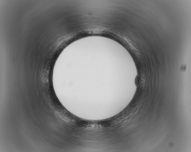 X0000096430543200802211149