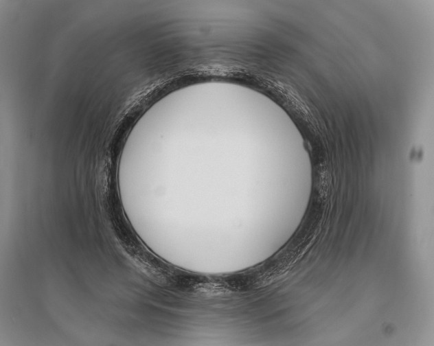 X0000096430544200802211149