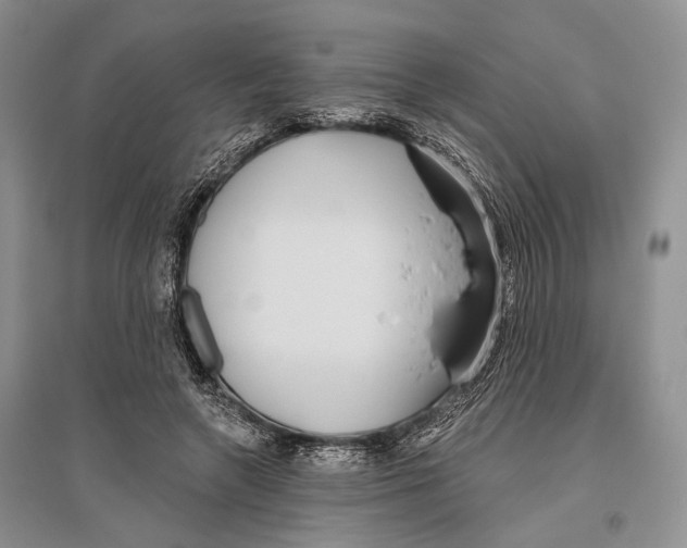 X0000096430546200802211149