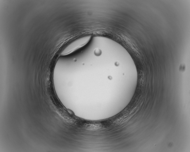 X0000096430548200802211149