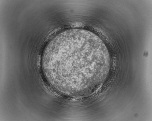 X0000096430550200802211149
