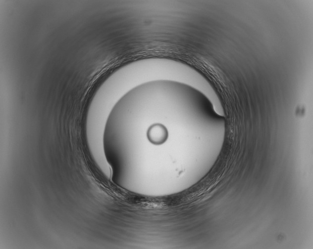 X0000096430552200802211150