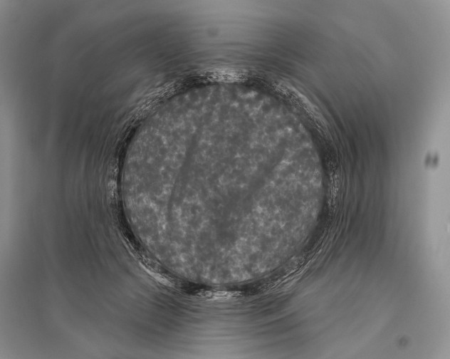 X0000096430553200802211150