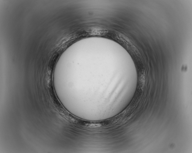 X0000096430554200802211150