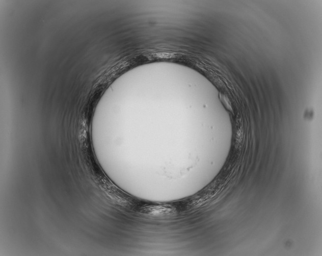 X0000096430555200802211150