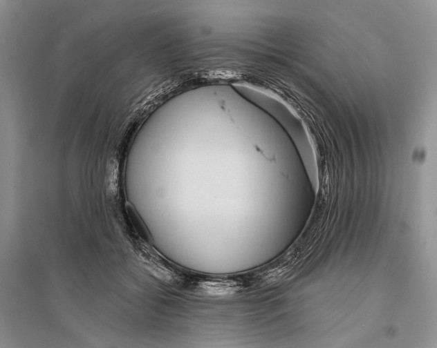 X0000096430556200802211150