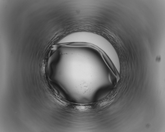 X0000096430558200802211150