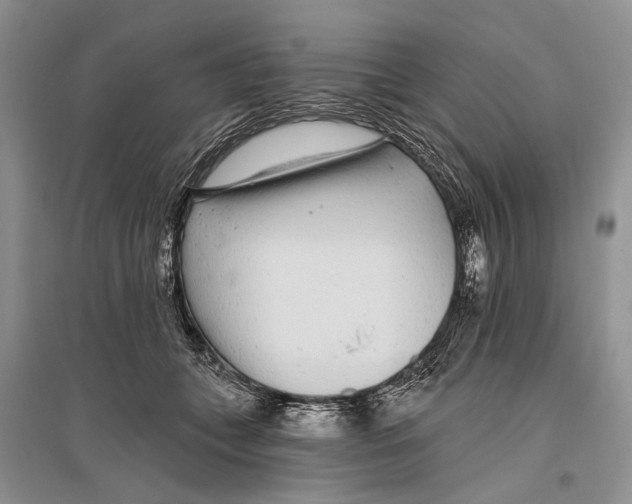 X0000096430559200802211150