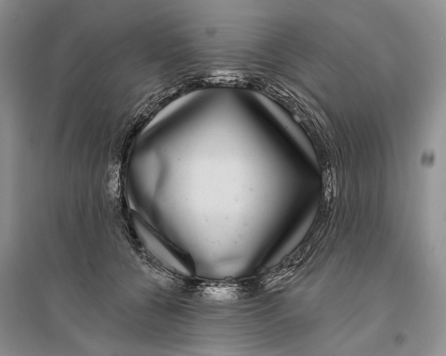 X0000096430560200802211150