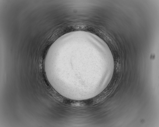 X0000096430561200802211150