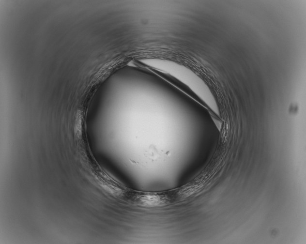 X0000096430562200802211150