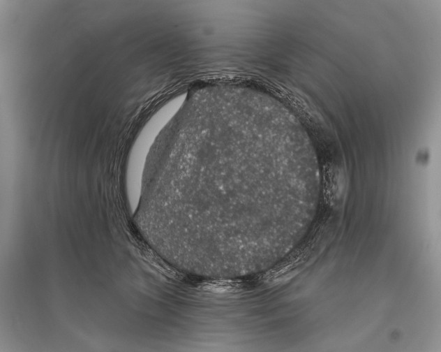 X0000096430563200802211150