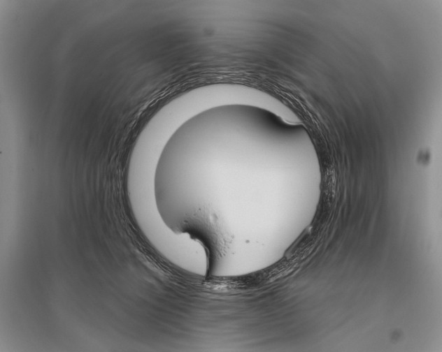 X0000096430564200802211150