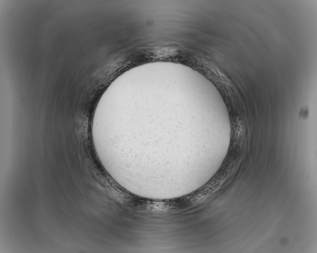 X0000096430565200802211150