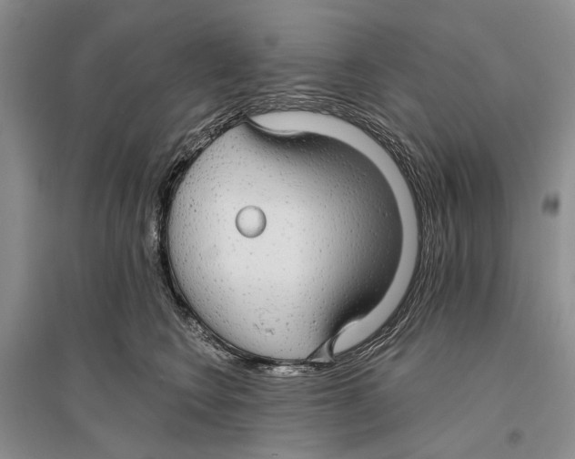 X0000096430566200802211150