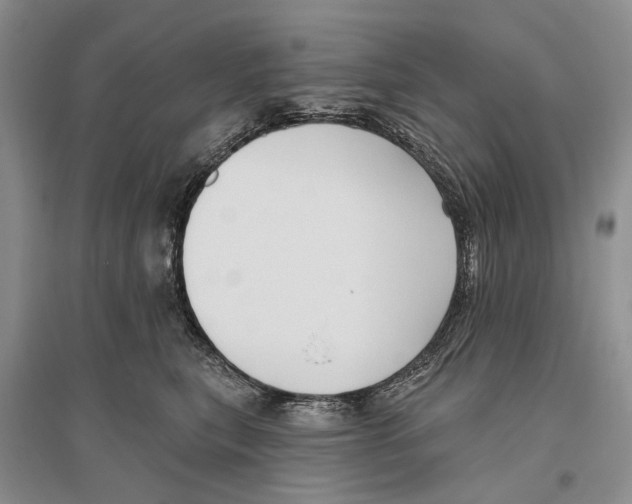 X0000096430567200802211150