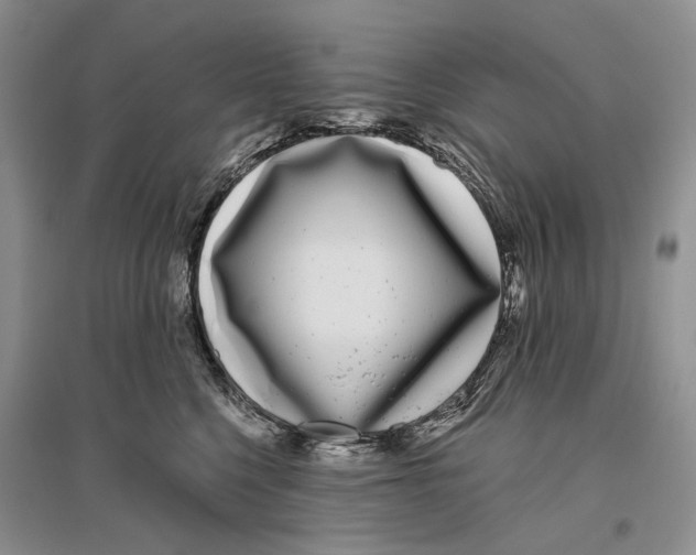 X0000096430568200802211150
