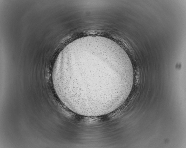 X0000096430569200802211150