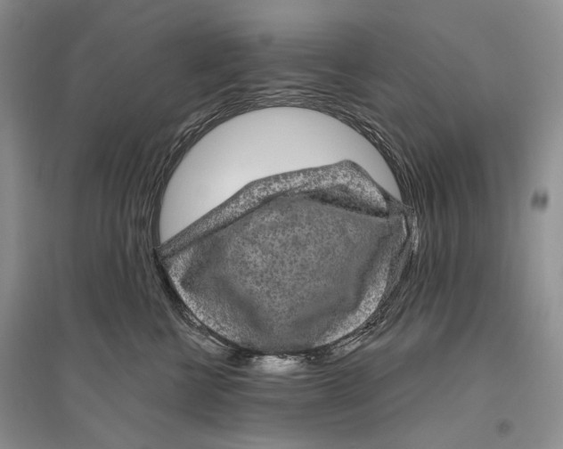 X0000096430570200802211150