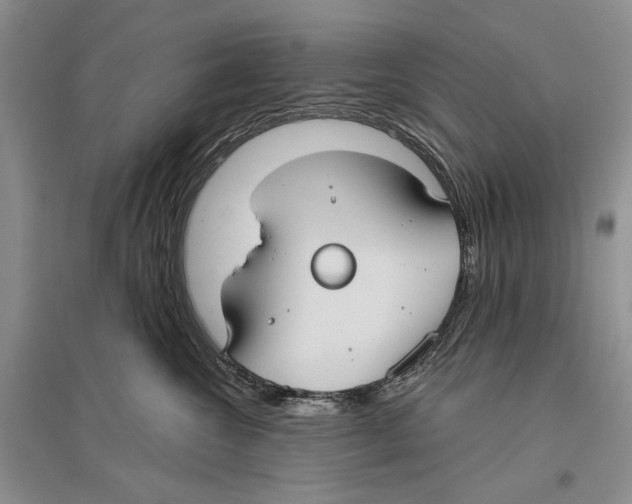 X0000096430572200802211150