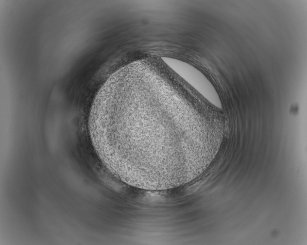 X0000096430573200802211150