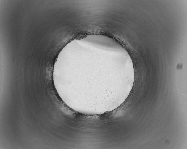 X0000096430576200802211150