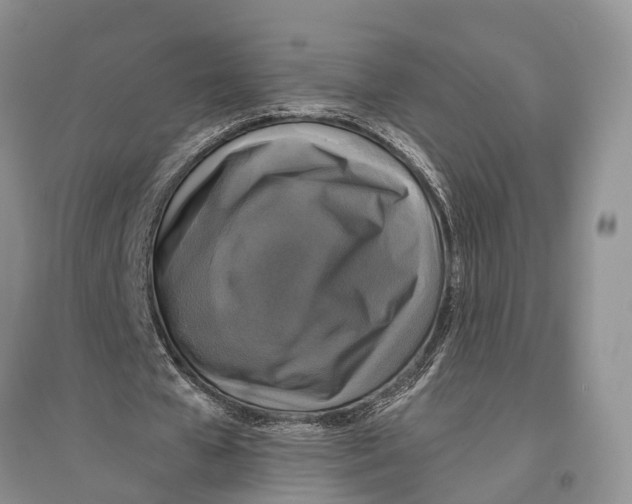 X0000096430577200802211149