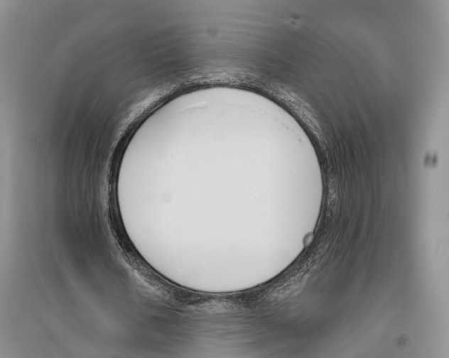 X0000096430578200802211149