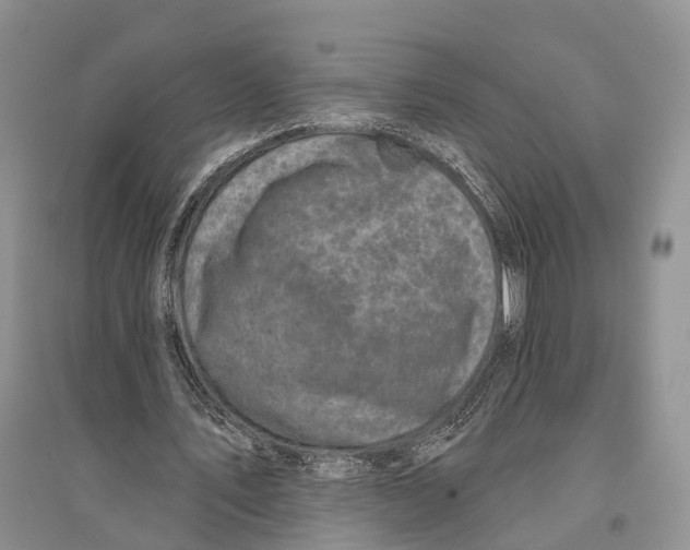 X0000096430579200802211149
