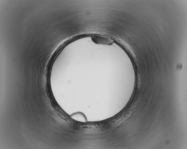 X0000096430580200802211149
