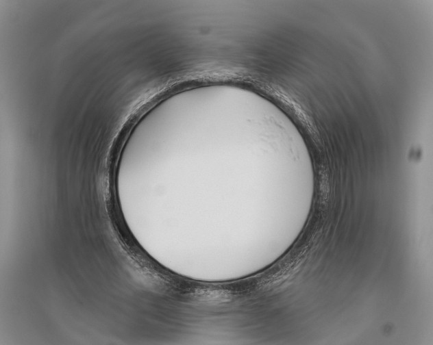 X0000096430582200802211149