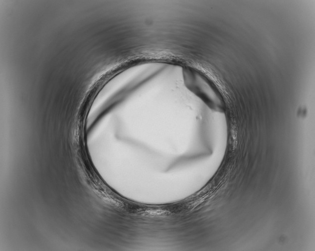 X0000096430583200802211149