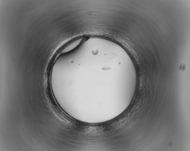 X0000096430584200802211149