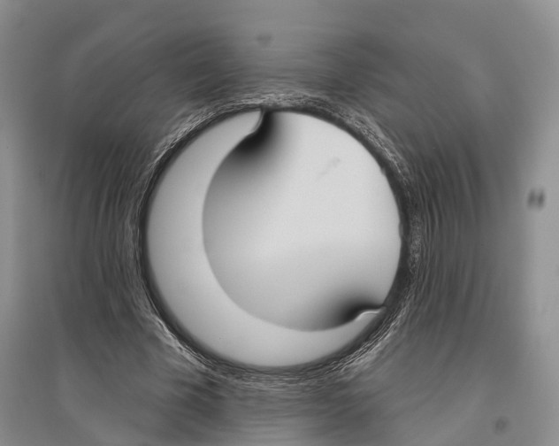 X0000096430585200802211149
