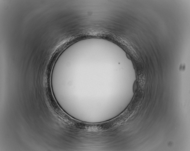 X0000096430587200802211149