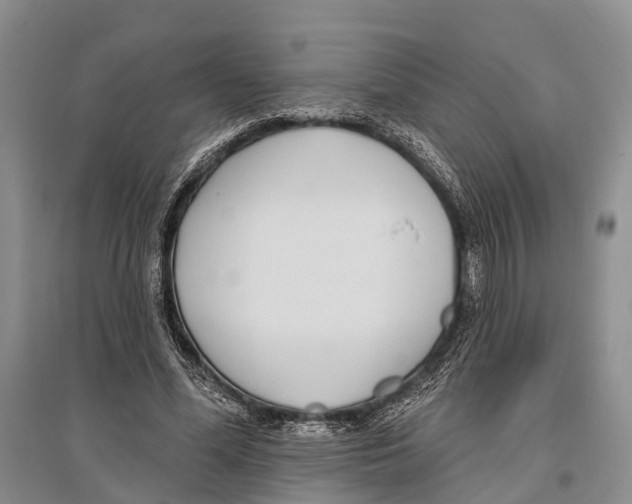 X0000096430588200802211149