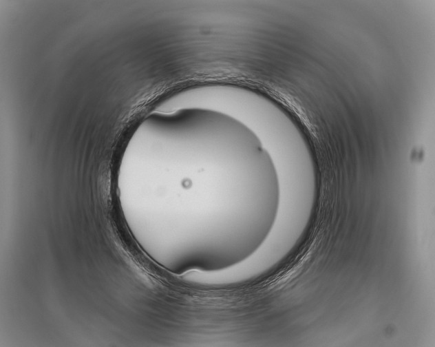 X0000096430589200802211149