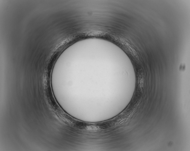 X0000096430591200802211149