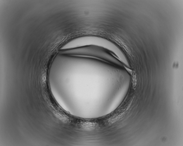 X0000096430593200802211149