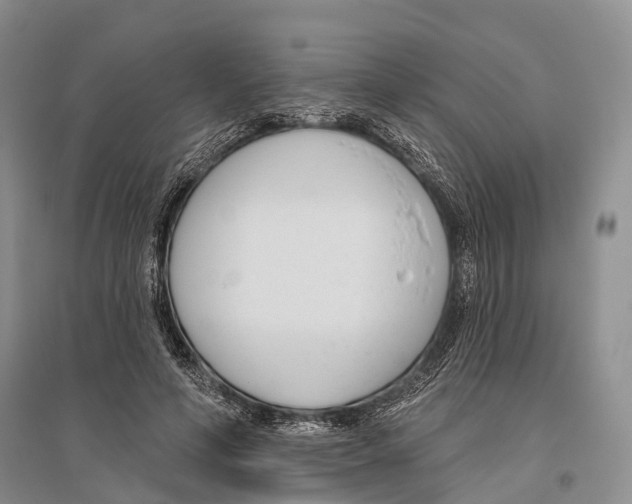 X0000096430594200802211149