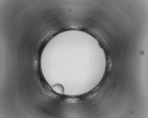 X0000096430595200802211149